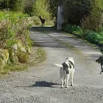 Eco Kenmare