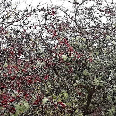 Σπίτι διακοπών Eco