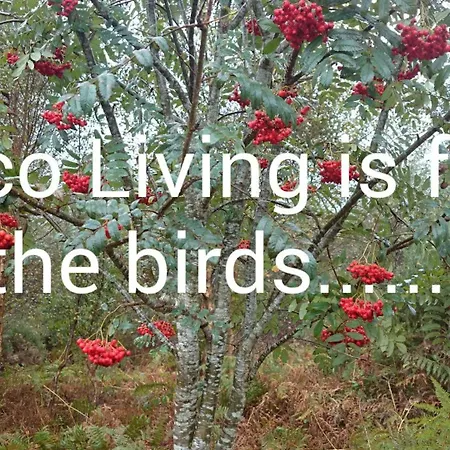 Σπίτι διακοπών Eco Kenmare
