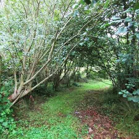 Eco Vakantiehuis Kenmare