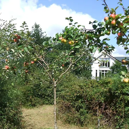 Eco Vakantiehuis