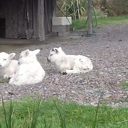 Vakantiehuis Eco *