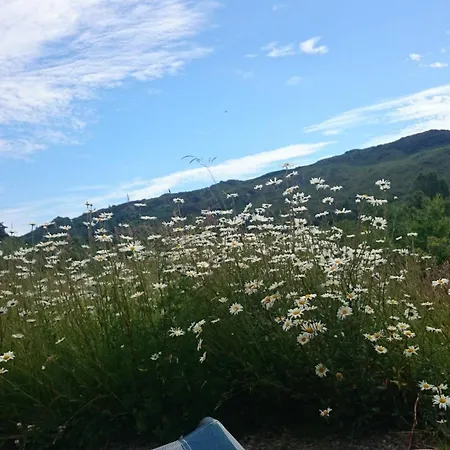 Eco Vakantiehuis *