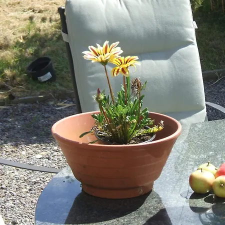 Eco Σπίτι διακοπών Kenmare