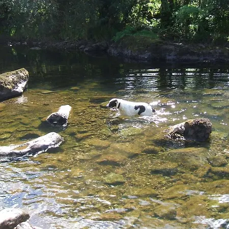 Eco Vakantiehuis *