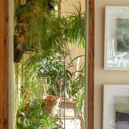 Eco Kenmare